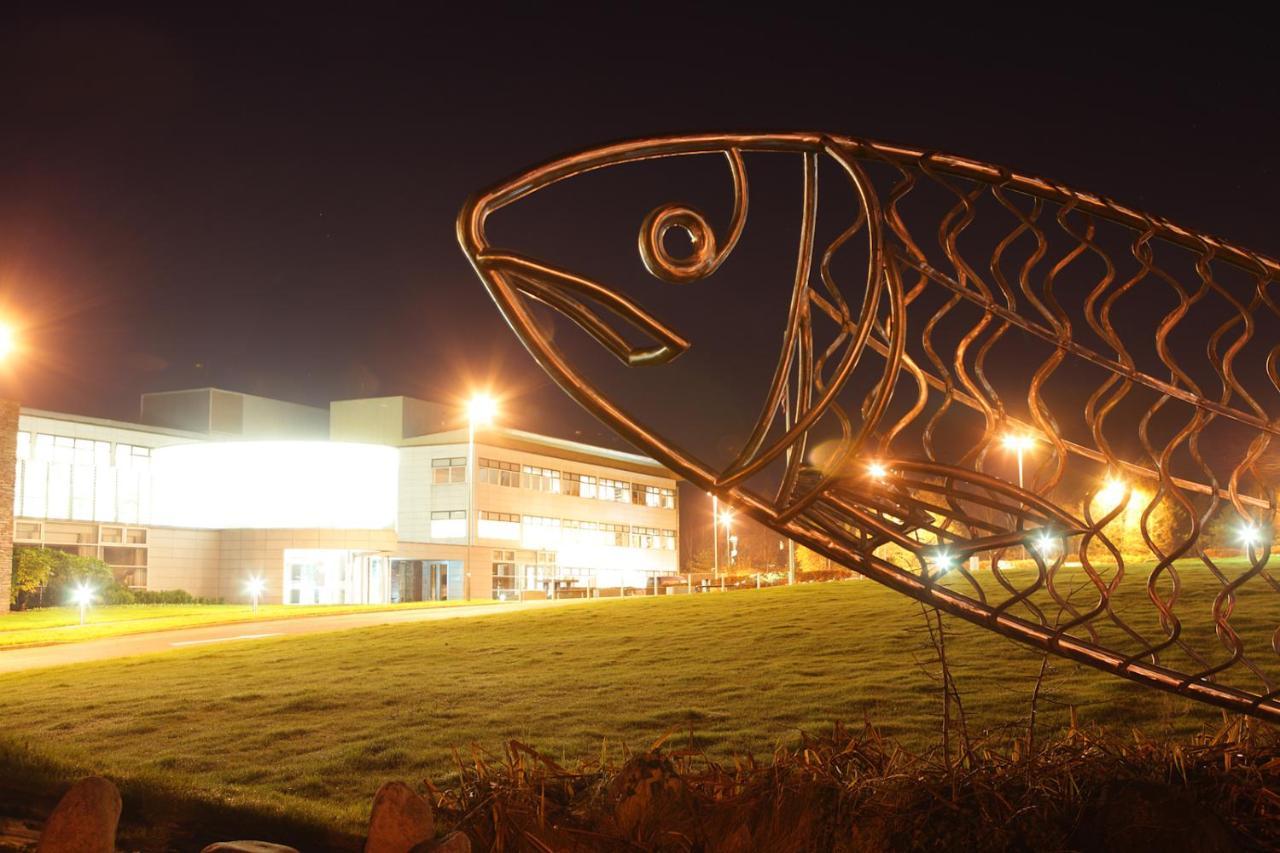 Causeway Holiday Homes Coleraine Zewnętrze zdjęcie